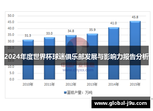 2024年度世界杯球迷俱乐部发展与影响力报告分析