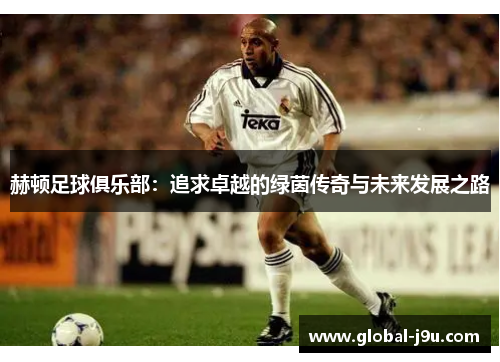 赫顿足球俱乐部：追求卓越的绿茵传奇与未来发展之路