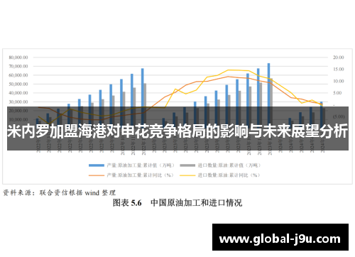 米内罗加盟海港对申花竞争格局的影响与未来展望分析