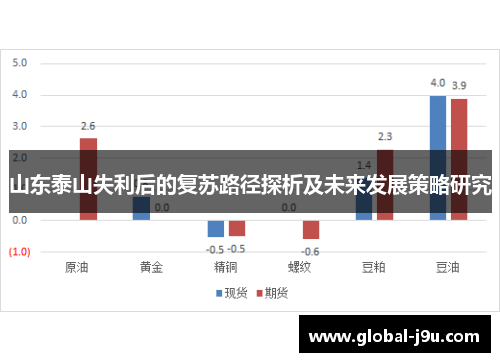 山东泰山失利后的复苏路径探析及未来发展策略研究