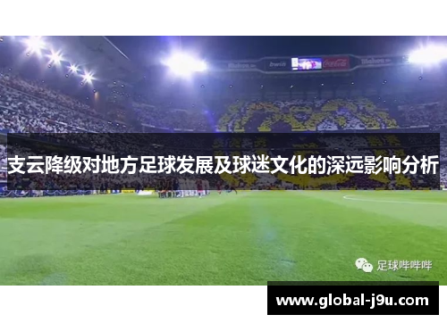 支云降级对地方足球发展及球迷文化的深远影响分析