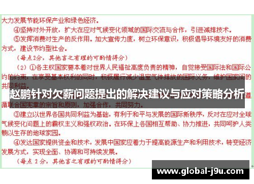 赵鹏针对欠薪问题提出的解决建议与应对策略分析