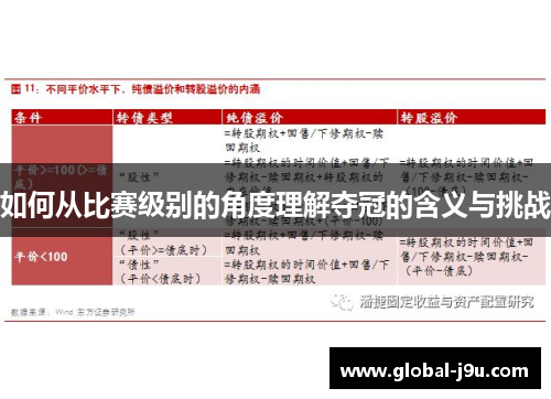 如何从比赛级别的角度理解夺冠的含义与挑战